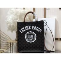Celine專櫃2023新款手提托特包 191542 賽琳CABAS TRIOMPHE帆布小號豎款手袋 sldj2221