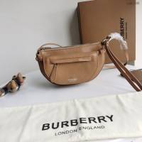 Burberry專門店新款女士肩背包 巴寶莉鞣制雙色皮革弧形小挎包 yxb1005