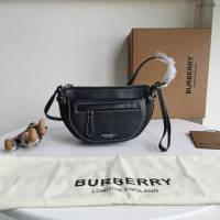 Burberry專門店新款女士肩背包 巴寶莉鞣制雙色皮革弧形小挎包 yxb1006