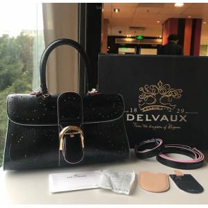 Delvaux全新雕刻和穿孔工藝腰果花brilliant手袋 德爾沃專櫃經典款爆款BL手提肩背女包 bxs1136